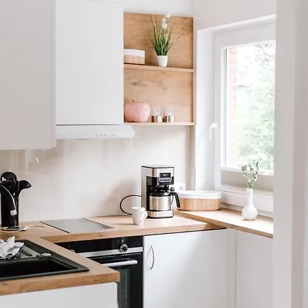 Alpakablick Bad Zwischenahn